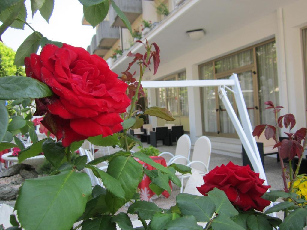Hotel Garden Беллария-Иджеа-Марина Экстерьер фото
